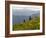 Wildflowers in the Tatoosh Wilderness, Washington Cascade Range, USA-Janis Miglavs-Framed Photographic Print