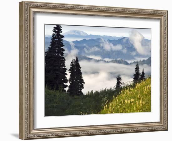 Wildflowers in the Tatoosh Wilderness, Washington Cascade Range, USA-Janis Miglavs-Framed Photographic Print