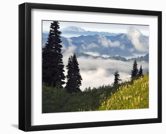 Wildflowers in the Tatoosh Wilderness, Washington Cascade Range, USA-Janis Miglavs-Framed Photographic Print