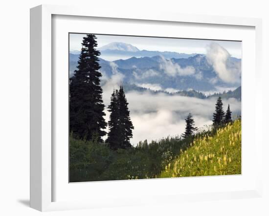 Wildflowers in the Tatoosh Wilderness, Washington Cascade Range, USA-Janis Miglavs-Framed Photographic Print