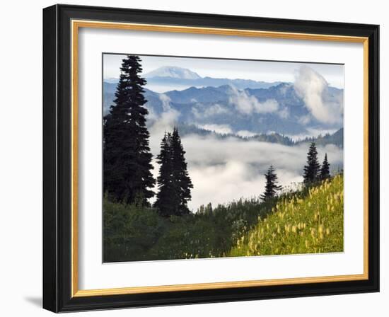 Wildflowers in the Tatoosh Wilderness, Washington Cascade Range, USA-Janis Miglavs-Framed Photographic Print
