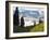 Wildflowers in the Tatoosh Wilderness, Washington Cascade Range, USA-Janis Miglavs-Framed Photographic Print