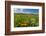 Wildflowers in Walla Walla Wine Country, Walla Walla, Washington, USA-Richard Duval-Framed Photographic Print