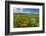 Wildflowers in Walla Walla Wine Country, Walla Walla, Washington, USA-Richard Duval-Framed Photographic Print