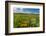 Wildflowers in Walla Walla Wine Country, Walla Walla, Washington, USA-Richard Duval-Framed Photographic Print