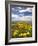 Wildflowers, Marine Parade, Napier Waterfront, Hawkes Bay, North Island, New Zealand-David Wall-Framed Photographic Print