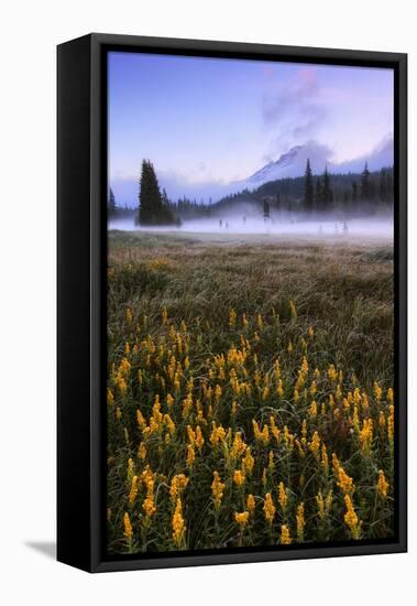 Wildflowers & Morning Mist at Mount Hood Meadow Oregon Wilderness PNW-Vincent James-Framed Premier Image Canvas
