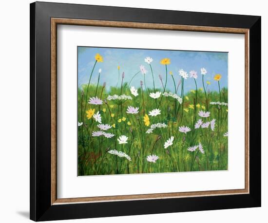 Wildflowers of Finland-Herb Dickinson-Framed Photographic Print