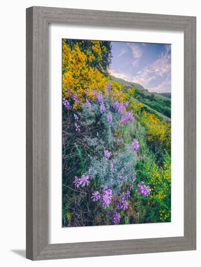 Wildflowers of Oakland in Spring-null-Framed Photographic Print