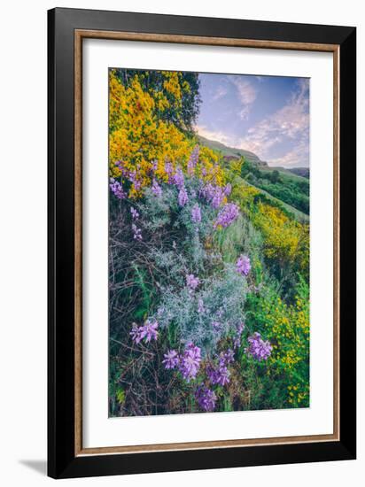 Wildflowers of Oakland in Spring-null-Framed Photographic Print