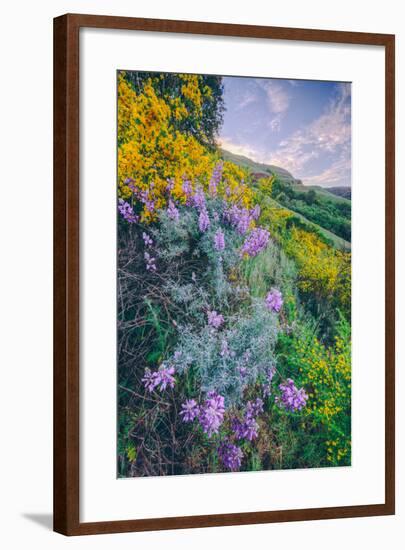 Wildflowers of Oakland in Spring-null-Framed Photographic Print