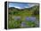 Wildflowers on Meadows, Mount Rainier National Park, Washington, USA-Tom Norring-Framed Premier Image Canvas