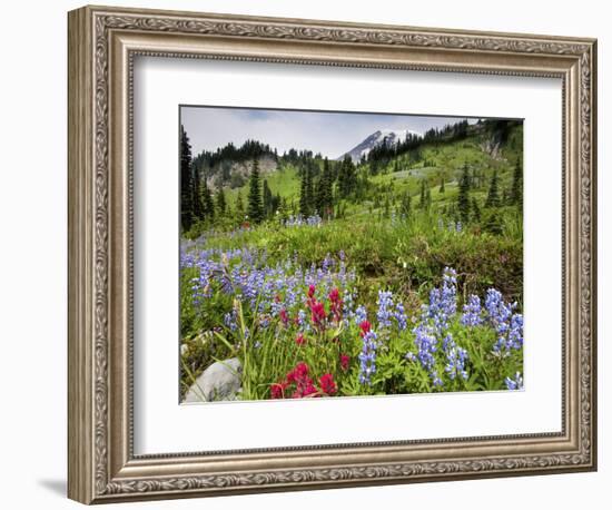 Wildflowers on Meadows, Mount Rainier National Park, Washington, USA-Tom Norring-Framed Photographic Print