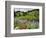 Wildflowers on Meadows, Mount Rainier National Park, Washington, USA-Tom Norring-Framed Photographic Print