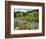 Wildflowers on Meadows, Mount Rainier National Park, Washington, USA-Tom Norring-Framed Photographic Print