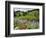 Wildflowers on Meadows, Mount Rainier National Park, Washington, USA-Tom Norring-Framed Photographic Print