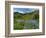 Wildflowers on Meadows, Mount Rainier National Park, Washington, USA-Tom Norring-Framed Photographic Print