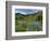 Wildflowers on Meadows, Mount Rainier National Park, Washington, USA-Tom Norring-Framed Photographic Print