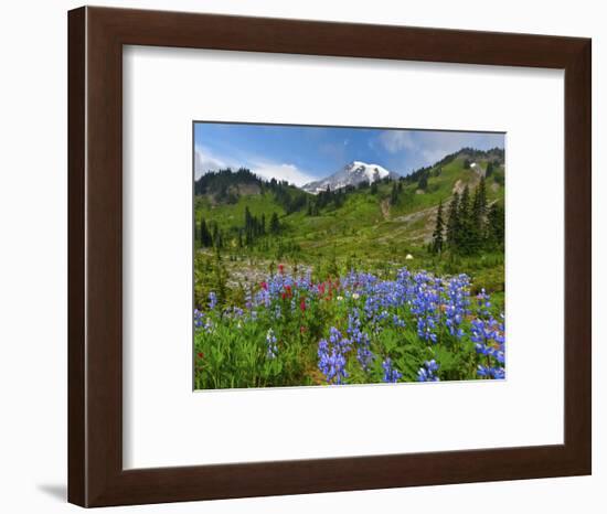 Wildflowers on Meadows, Mount Rainier National Park, Washington, USA-Tom Norring-Framed Photographic Print