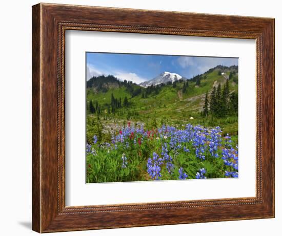 Wildflowers on Meadows, Mount Rainier National Park, Washington, USA-Tom Norring-Framed Photographic Print