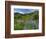 Wildflowers on Meadows, Mount Rainier National Park, Washington, USA-Tom Norring-Framed Photographic Print