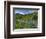 Wildflowers on Meadows, Mount Rainier National Park, Washington, USA-Tom Norring-Framed Photographic Print