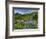 Wildflowers on Meadows, Mount Rainier National Park, Washington, USA-Tom Norring-Framed Photographic Print