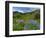 Wildflowers on Meadows, Mount Rainier National Park, Washington, USA-Tom Norring-Framed Photographic Print