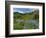 Wildflowers on Meadows, Mount Rainier National Park, Washington, USA-Tom Norring-Framed Photographic Print