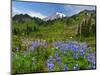 Wildflowers on Meadows, Mount Rainier National Park, Washington, USA-Tom Norring-Mounted Photographic Print