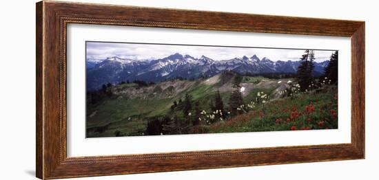 Wildflowers on Mountains, Mt Rainier, Pierce County, Washington State, USA-null-Framed Photographic Print