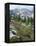 Wildflowers on Patterson Peak, Challis National Forest, Sawtooth Recreation Area, Idaho, USA-Scott T. Smith-Framed Premier Image Canvas