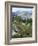 Wildflowers on Patterson Peak, Challis National Forest, Sawtooth Recreation Area, Idaho, USA-Scott T. Smith-Framed Photographic Print