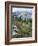 Wildflowers on Patterson Peak, Challis National Forest, Sawtooth Recreation Area, Idaho, USA-Scott T. Smith-Framed Photographic Print