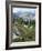 Wildflowers on Patterson Peak, Challis National Forest, Sawtooth Recreation Area, Idaho, USA-Scott T. Smith-Framed Photographic Print