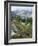 Wildflowers on Patterson Peak, Challis National Forest, Sawtooth Recreation Area, Idaho, USA-Scott T. Smith-Framed Photographic Print