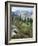 Wildflowers on Patterson Peak, Challis National Forest, Sawtooth Recreation Area, Idaho, USA-Scott T. Smith-Framed Photographic Print