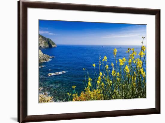 Wildflowers on the Via dell'Amore, Riomaggiore, Cinque Terre, Liguria, Italy-Russ Bishop-Framed Photographic Print