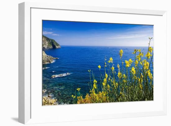 Wildflowers on the Via dell'Amore, Riomaggiore, Cinque Terre, Liguria, Italy-Russ Bishop-Framed Photographic Print