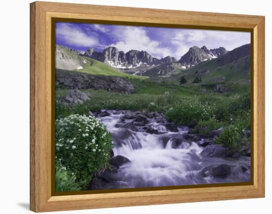 Wildflowers, Ouray, San Juan Mountains, Rocky Mountains, Colorado, USA-Rolf Nussbaumer-Framed Premier Image Canvas