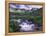 Wildflowers, Ouray, San Juan Mountains, Rocky Mountains, Colorado, USA-Rolf Nussbaumer-Framed Premier Image Canvas