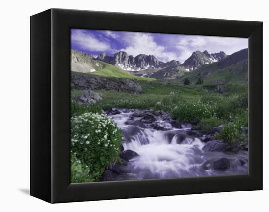 Wildflowers, Ouray, San Juan Mountains, Rocky Mountains, Colorado, USA-Rolf Nussbaumer-Framed Premier Image Canvas