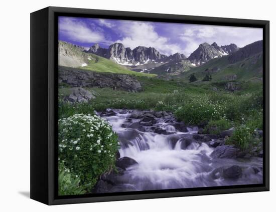 Wildflowers, Ouray, San Juan Mountains, Rocky Mountains, Colorado, USA-Rolf Nussbaumer-Framed Premier Image Canvas