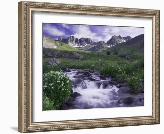 Wildflowers, Ouray, San Juan Mountains, Rocky Mountains, Colorado, USA-Rolf Nussbaumer-Framed Photographic Print