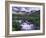 Wildflowers, Ouray, San Juan Mountains, Rocky Mountains, Colorado, USA-Rolf Nussbaumer-Framed Photographic Print