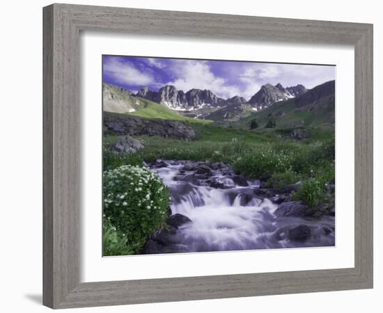 Wildflowers, Ouray, San Juan Mountains, Rocky Mountains, Colorado, USA-Rolf Nussbaumer-Framed Photographic Print