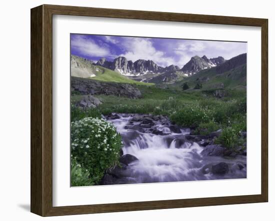 Wildflowers, Ouray, San Juan Mountains, Rocky Mountains, Colorado, USA-Rolf Nussbaumer-Framed Photographic Print