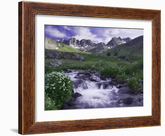 Wildflowers, Ouray, San Juan Mountains, Rocky Mountains, Colorado, USA-Rolf Nussbaumer-Framed Photographic Print