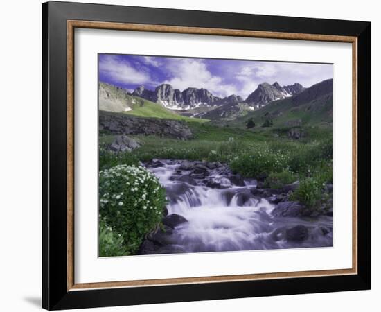 Wildflowers, Ouray, San Juan Mountains, Rocky Mountains, Colorado, USA-Rolf Nussbaumer-Framed Photographic Print