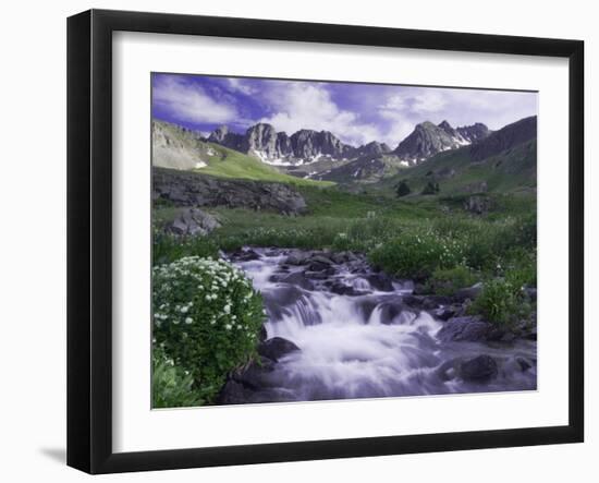 Wildflowers, Ouray, San Juan Mountains, Rocky Mountains, Colorado, USA-Rolf Nussbaumer-Framed Photographic Print